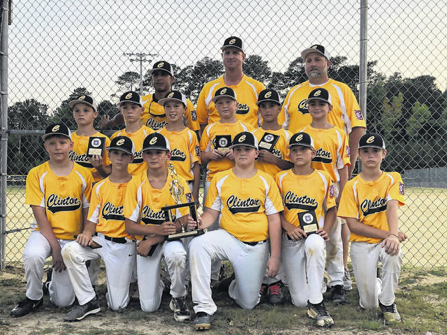 Stanley Little League Baseball (VA) > Home