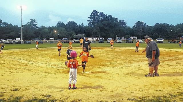 
			
				                                Children in the Garland Volunteer Softball League compete on baseball fields.
                                 Courtesy photo

			
		