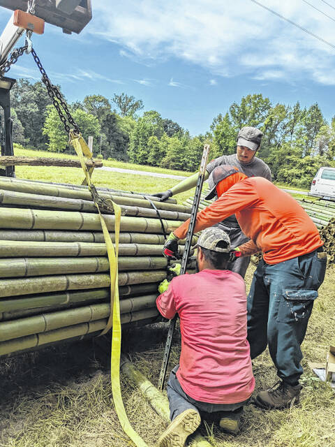<p>Crews working to securing one of the rolls of harvested bamboo.</p>
                                 <p>Courtesy Photo</p>