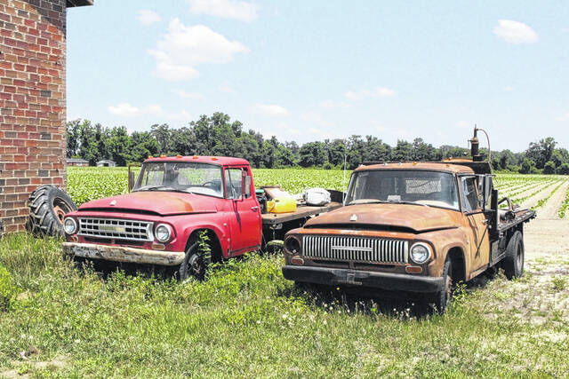<p>Deep roots in agriculture can be seen in the old farm trucks fronting the Coharie Community Garden, in the background. Both are representative of how traditions have been preserved by time.</p>